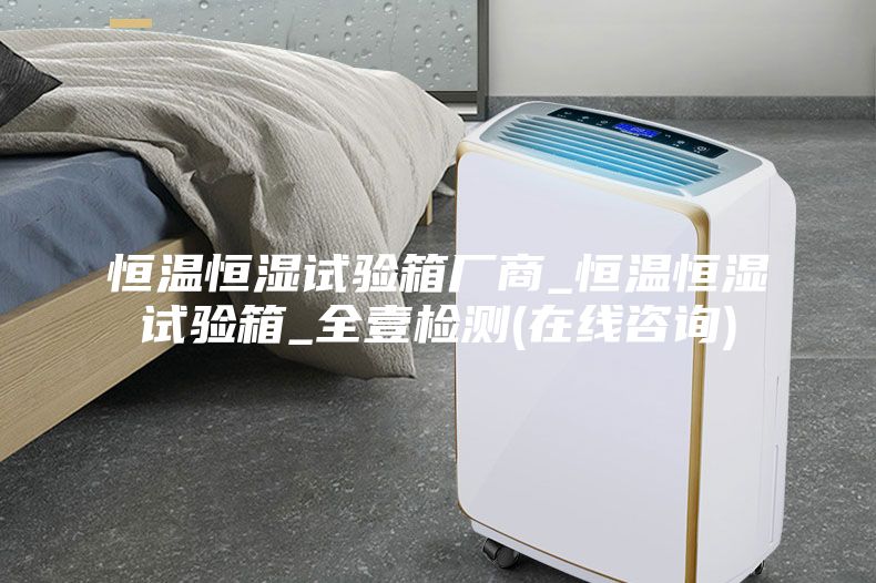恒温恒湿试验箱厂商_恒温恒湿试验箱_全壹检测(在线咨询)