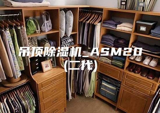 吊顶除湿机_ASM20(二代)