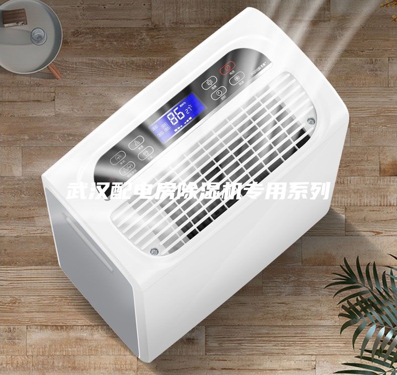 武汉配电房除湿机专用系列