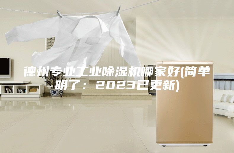 德州专业工业除湿机哪家好(简单明了：2023已更新)