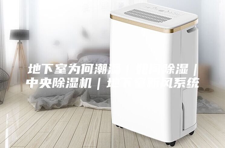 地下室为何潮湿｜如何除湿｜中央除湿机｜地下室新风系统