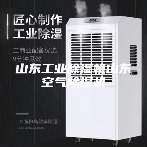 山东工业除湿机山东空气除湿机