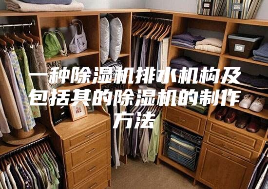 一种除湿机排水机构及包括其的除湿机的制作方法