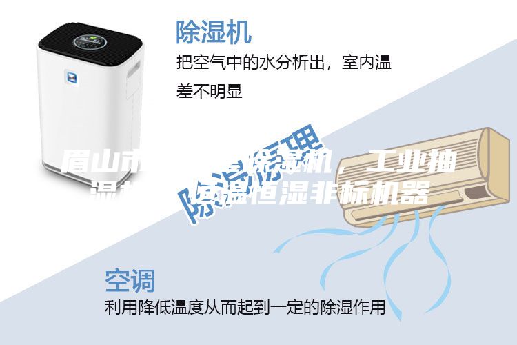 眉山市地下室除湿机，工业抽湿机  恒温恒湿非标机器