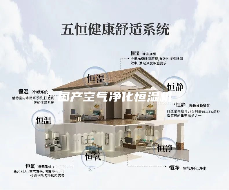 国产空气净化恒湿机