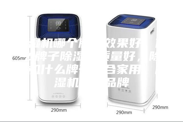 除湿机哪个牌子效果好，什么牌子除湿机质量好，除湿机什么牌子适合家用，除湿机十大品牌