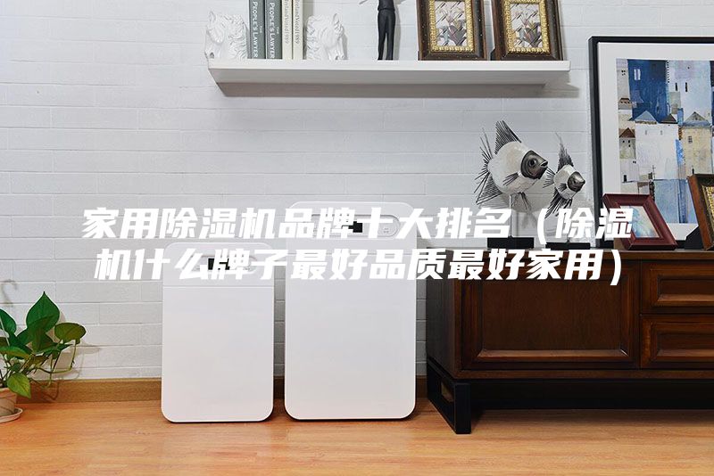 家用除湿机品牌十大排名（除湿机什么牌子最好品质最好家用）