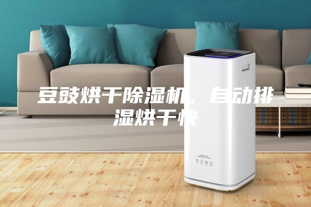 豆豉烘干除湿机，自动排湿烘干快