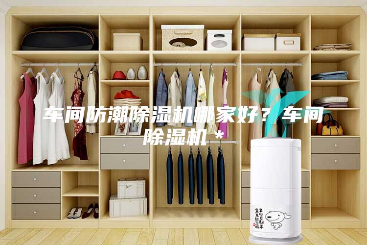 车间防潮除湿机哪家好？车间除湿机＊