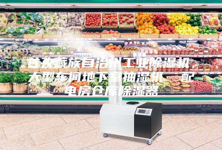 甘孜藏族自治州工业除湿机，大型车间地下室抽湿机  配电房仓库除湿器