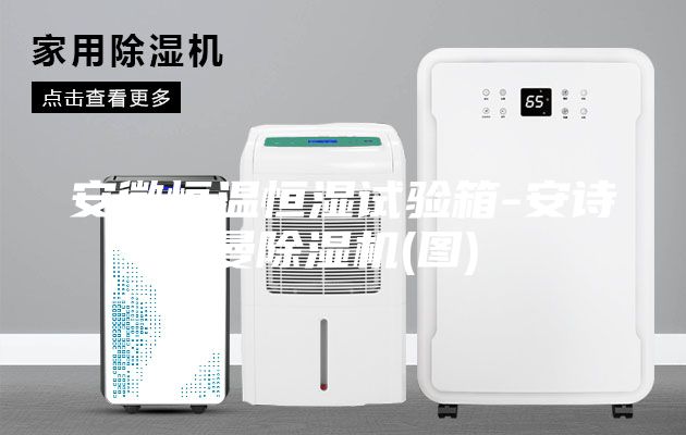 安徽恒温恒湿试验箱-安诗曼除湿机(图)