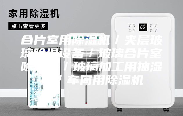 合片室用除湿机／夹层玻璃除湿设备／玻璃合片室除湿器／玻璃加工用抽湿机／车间用除湿机