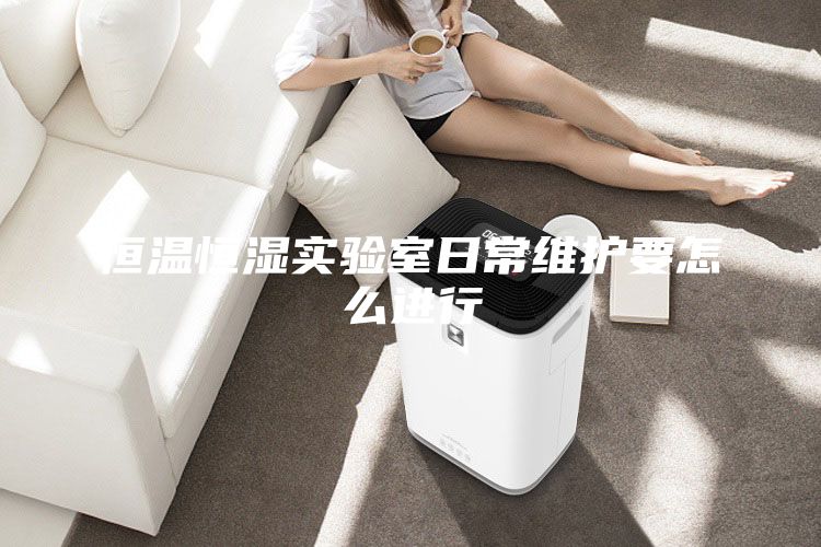 恒温恒湿实验室日常维护要怎么进行