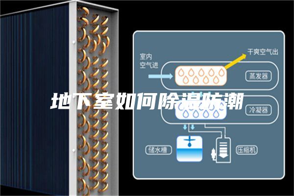 地下室如何除湿防潮