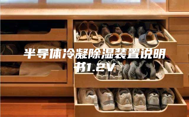 半导体冷凝除湿装置说明书1.2V