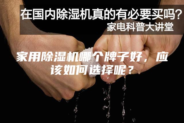 家用除湿机哪个牌子好，应该如何选择呢？