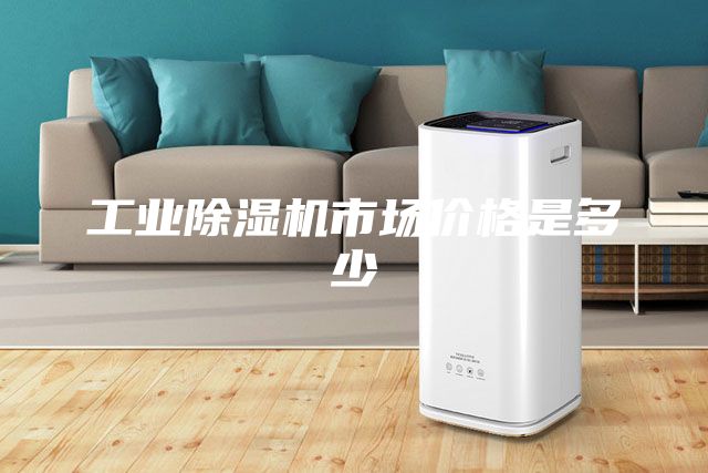 工业除湿机市场价格是多少