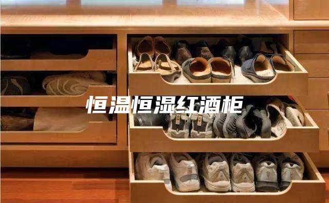 恒温恒湿红酒柜