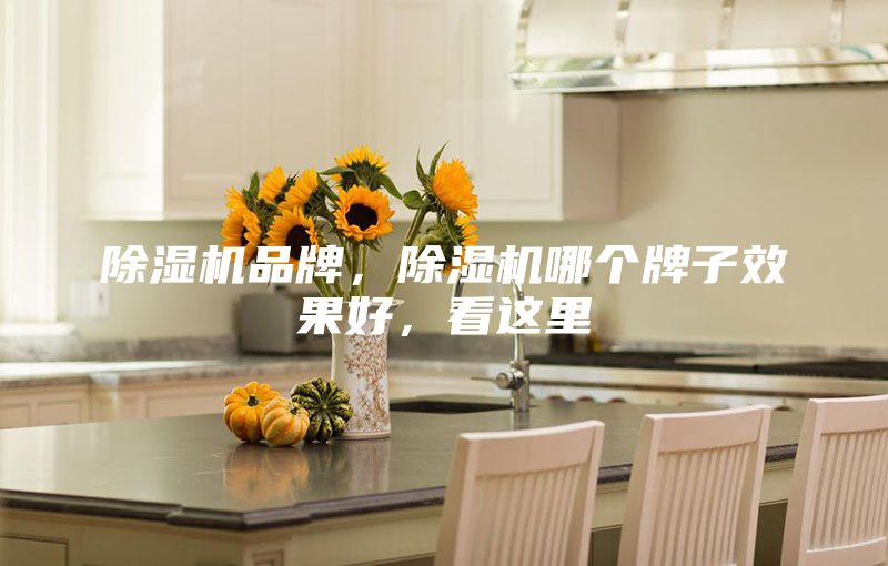 除湿机品牌，除湿机哪个牌子效果好，看这里