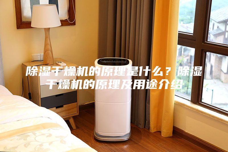 除湿干燥机的原理是什么？除湿干燥机的原理及用途介绍