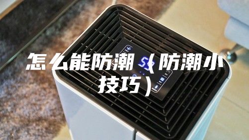怎么能防潮（防潮小技巧）