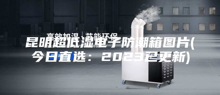 昆明超低湿电子防潮箱图片(今日直选：2023已更新)
