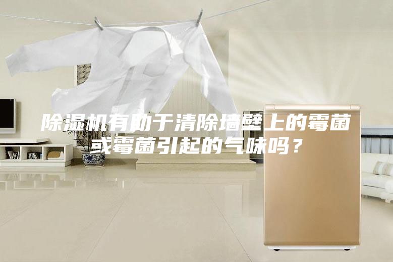 除湿机有助于清除墙壁上的霉菌或霉菌引起的气味吗？