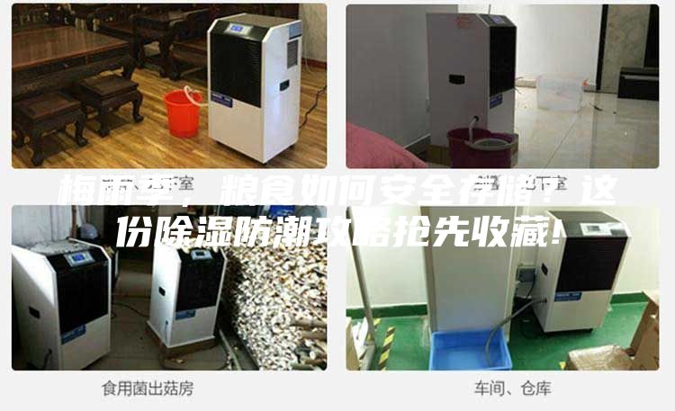 梅雨季，粮食如何安全存储？这份除湿防潮攻略抢先收藏!
