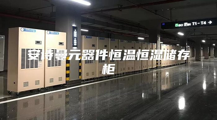 安诗曼元器件恒温恒湿储存柜