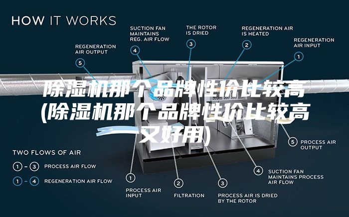 除湿机那个品牌性价比较高(除湿机那个品牌性价比较高又好用)