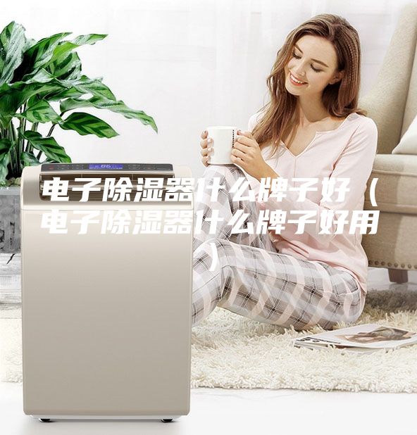 电子除湿器什么牌子好（电子除湿器什么牌子好用）