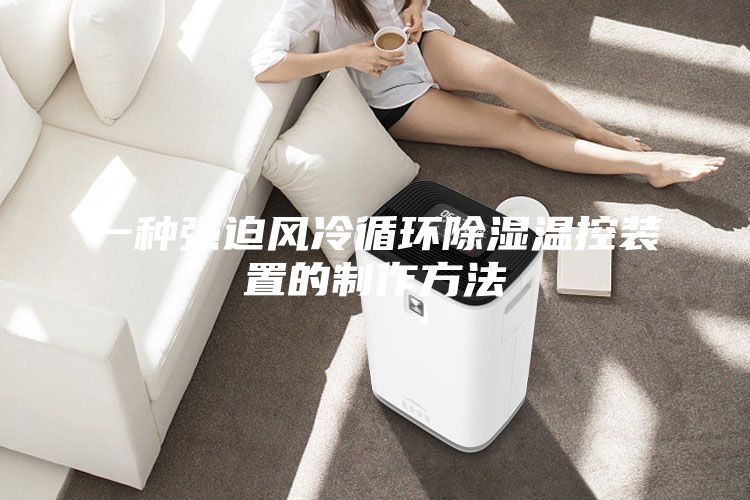一种强迫风冷循环除湿温控装置的制作方法