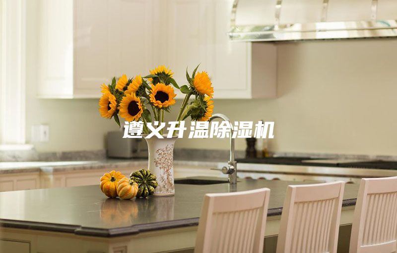 遵义升温除湿机