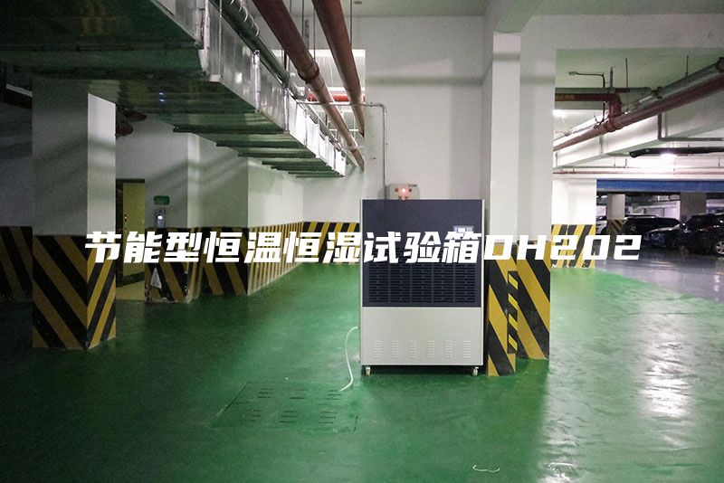 节能型恒温恒湿试验箱DH202