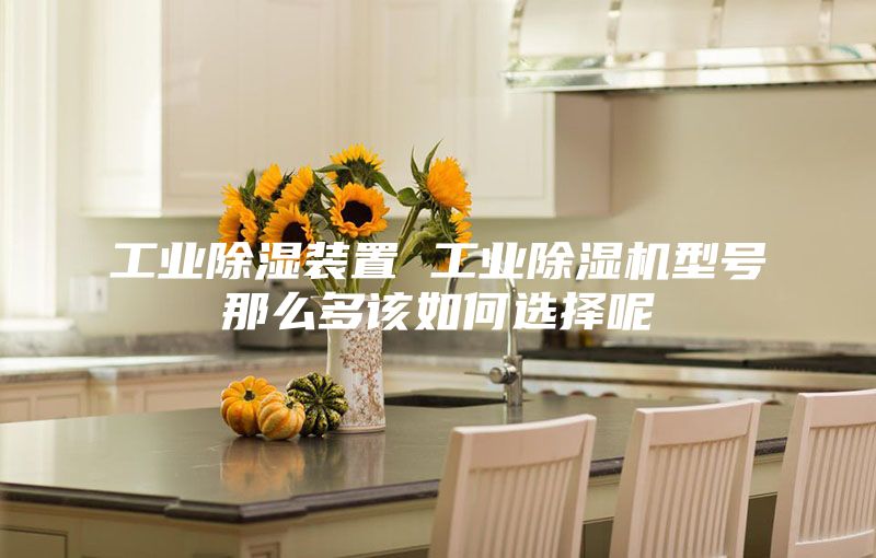 工业除湿装置 工业除湿机型号那么多该如何选择呢