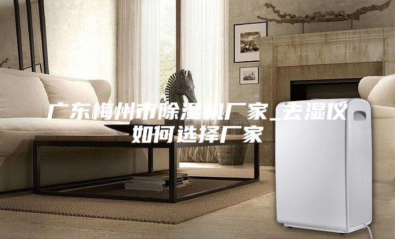 广东梅州市除湿机厂家_去湿仪如何选择厂家