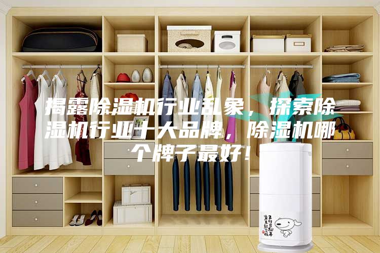 揭露除湿机行业乱象，探索除湿机行业十大品牌，除湿机哪个牌子最好！