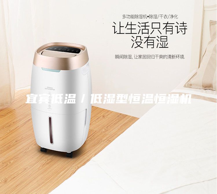 宜宾低温／低湿型恒温恒湿机
