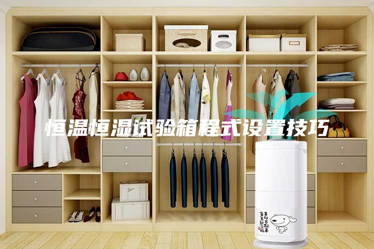 恒温恒湿试验箱程式设置技巧