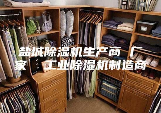 盐城除湿机生产商 厂家  工业除湿机制造商