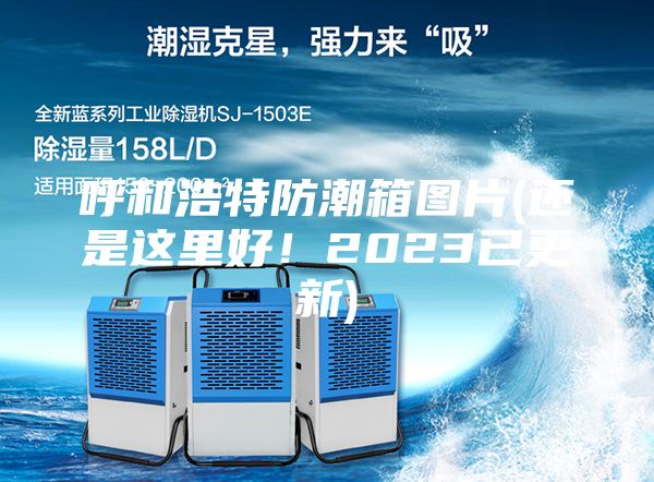 呼和浩特防潮箱图片(还是这里好！2023已更新)