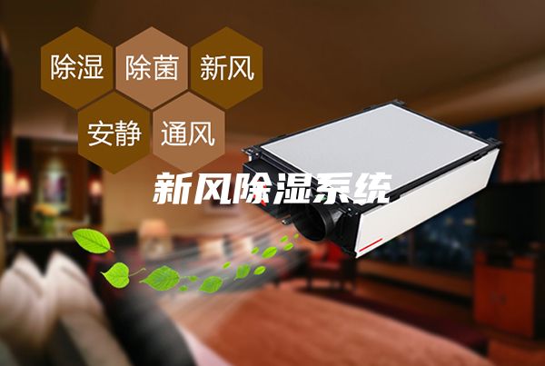 新风除湿系统