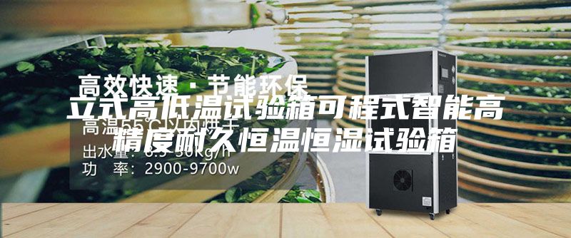 立式高低温试验箱可程式智能高精度耐久恒温恒湿试验箱