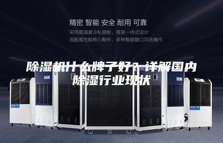 除湿机什么牌子好？详解国内除湿行业现状