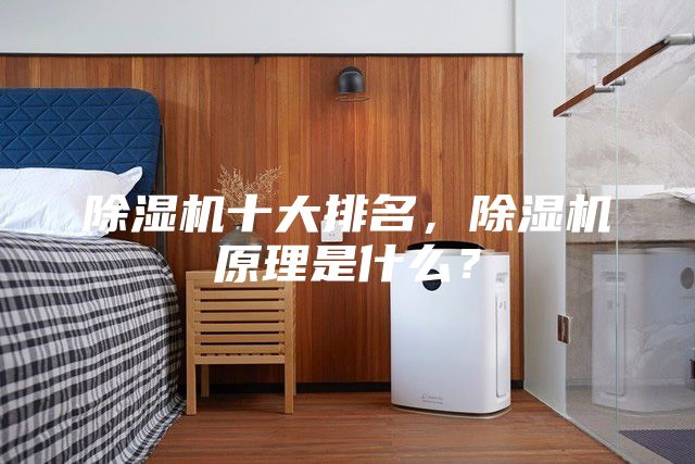除湿机十大排名，除湿机原理是什么？