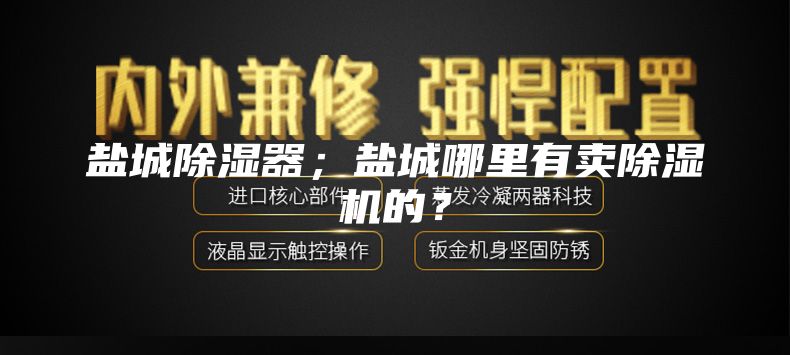 盐城除湿器；盐城哪里有卖除湿机的？