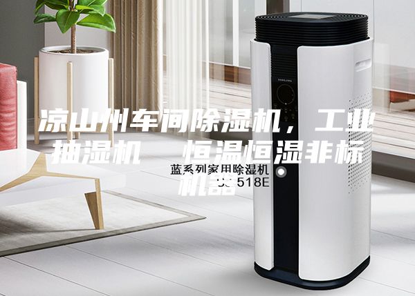 凉山州车间除湿机，工业抽湿机  恒温恒湿非标机器