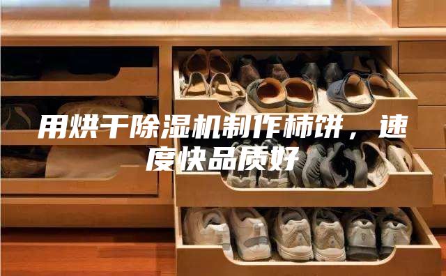 用烘干除湿机制作柿饼，速度快品质好
