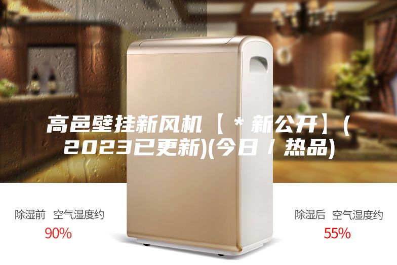 高邑壁挂新风机【＊新公开】(2023已更新)(今日／热品)