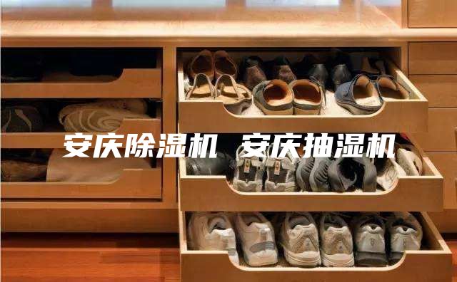 安庆除湿机 安庆抽湿机